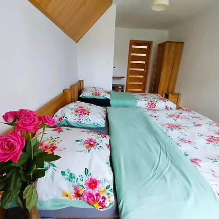 Apartamenty Nad Potokiem Kroscienko nad Dunajcem Exterior photo